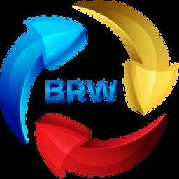 BASEREWARD Logo