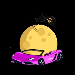 When lambo moon binance