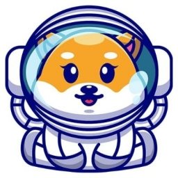 Baby-Space-Floki Logo