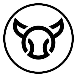 Bulls-World-2.0 Logo