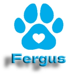 FERGUS