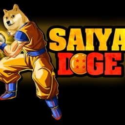 SaiyanDoge