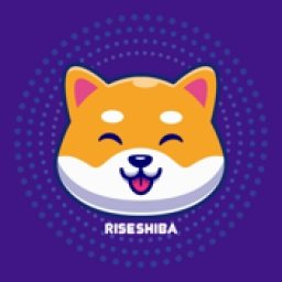 RiseShiba