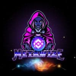 MetaWize Logo