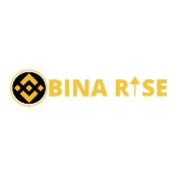 BinaRise Logo