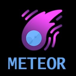 Meteorite-Network Logo