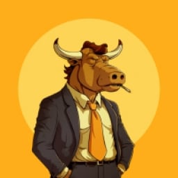 Mr.Bullrun Logo