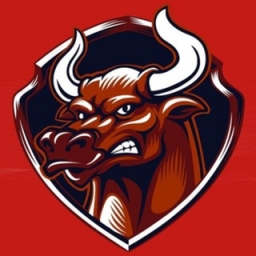 BulliT Logo