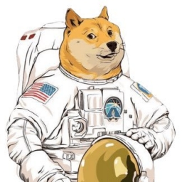 TheDogeOne