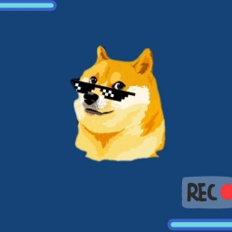 DogeCams