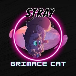 Stray Grimace Cat