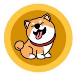 Hachiko-Inu-BSC Logo