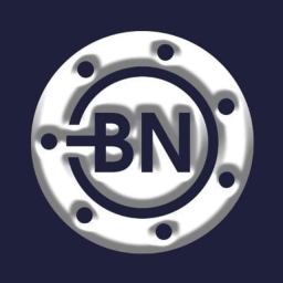 BitNorm Token