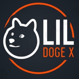 LilDogeX