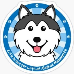 Baby-Malamute Logo