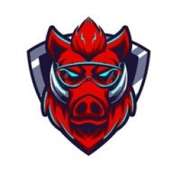 GalaxyPig Logo