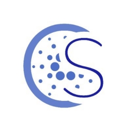 StakeADA Logo