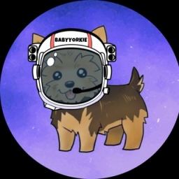 BabyYorkie Logo