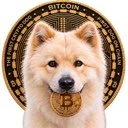 BUDDY First Crypto Dog Logo