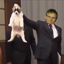 Vitalik Hates Dogs