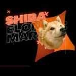 ShibaElon-Mars Logo