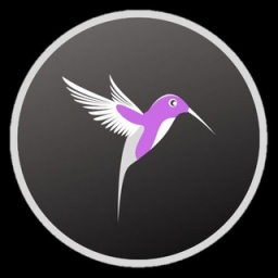 Pigeonswap Logo