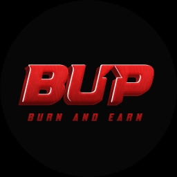 BURNUP Logo