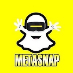 MetaSnap