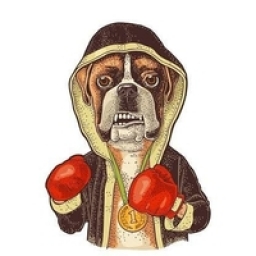 Mini-Boxer Logo