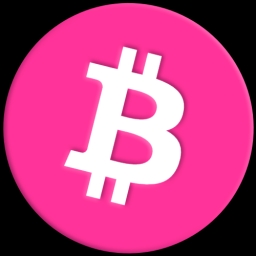 SHIBPINK Logo