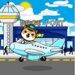 DogePort Coin