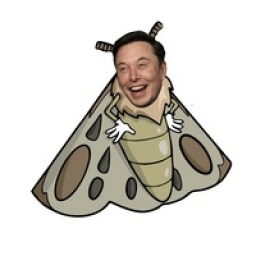 ElonMoth Logo