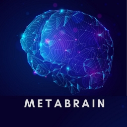 MetaBrain Logo