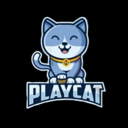 PLAY CAT