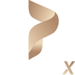 Pandora-X Logo