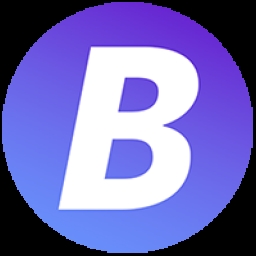 Brico-Chain-Network Logo