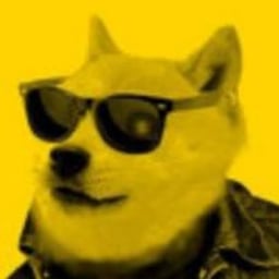 DogeFi Logo