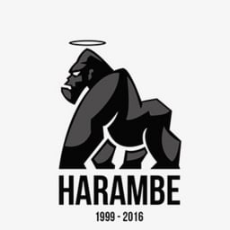 Metaharambe