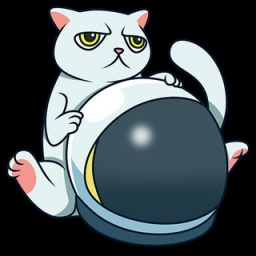 Cat-Token Logo