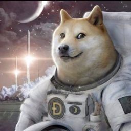 Doge-1 Logo