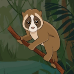 BabyLoris