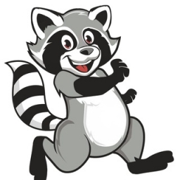 Raccoon Coin