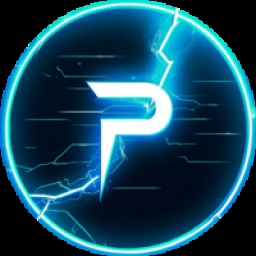 PAYVERTISE Logo