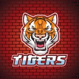 TIGERS-Coin Logo