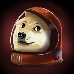 SPACE DOGE