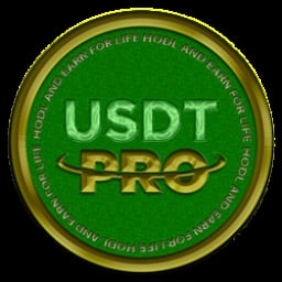 USDT Pro