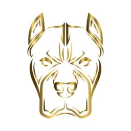 PITBULL-FINANCE Logo