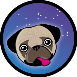 SPACEPUG