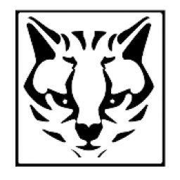 Ocelot-Finance Logo