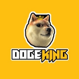 DogeKing Metaverse